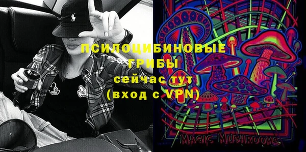 хмурый Алексин