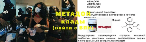 хмурый Алексин